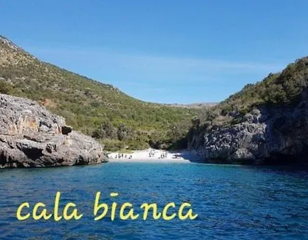 Nyaraló Camerota Basic